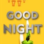 good night 14 1