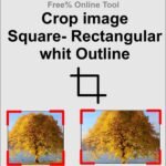 Crop image Square- Rectangular whit Outline