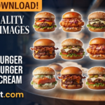 Burger PNG Images – Free High-Quality Transparent Burger PNG